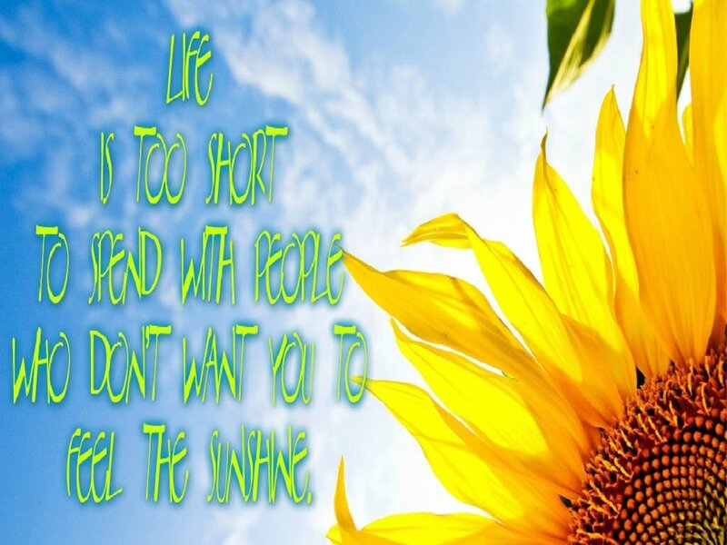 Sunflower in Sky