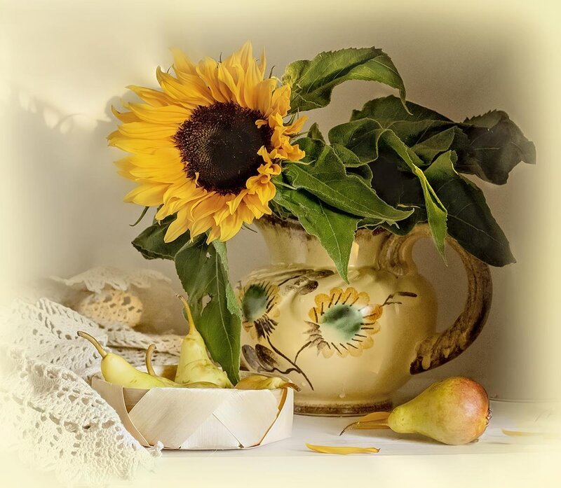Sunflower in Vase — Yellow, Serene