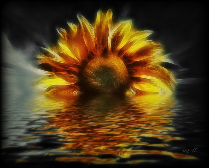 Sunflower in Water — Yellow, Dramatic