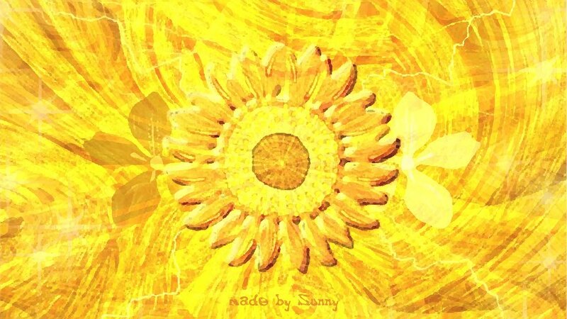 Sunflower in Yellow Field