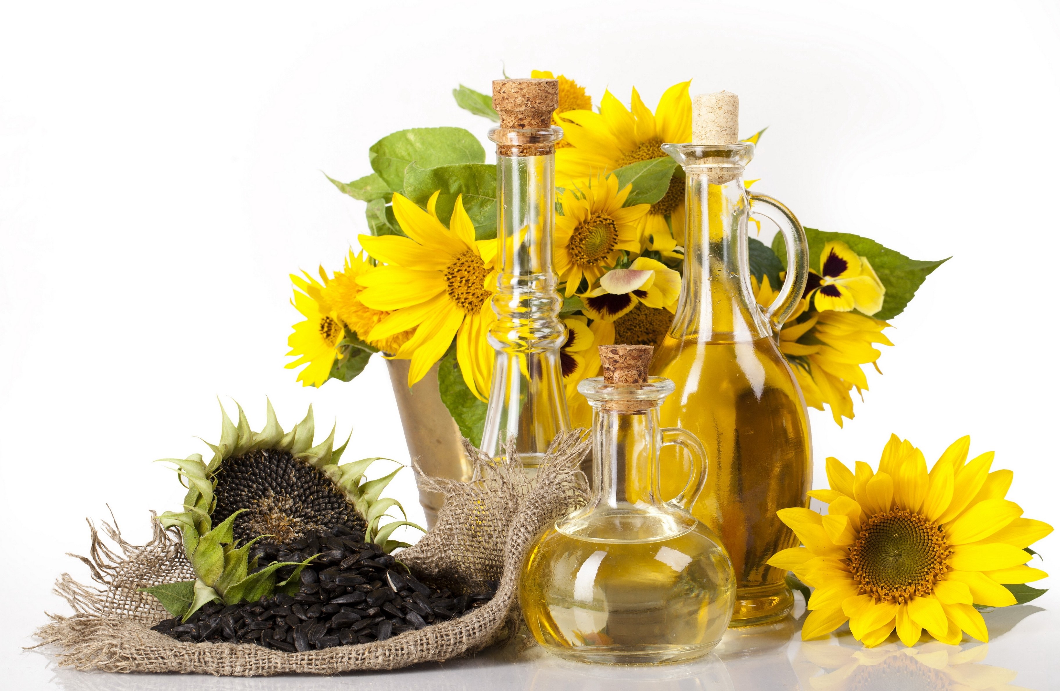 Sunflower oil and seeds