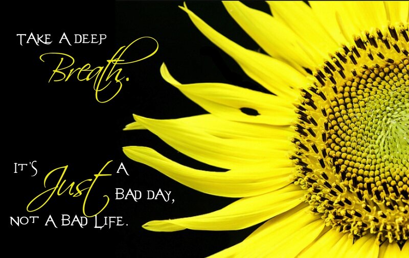 Sunflower on Black Background — Yellow, Calming