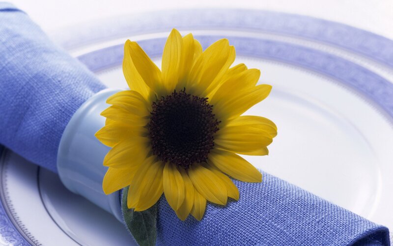Sunflower on blue napkin