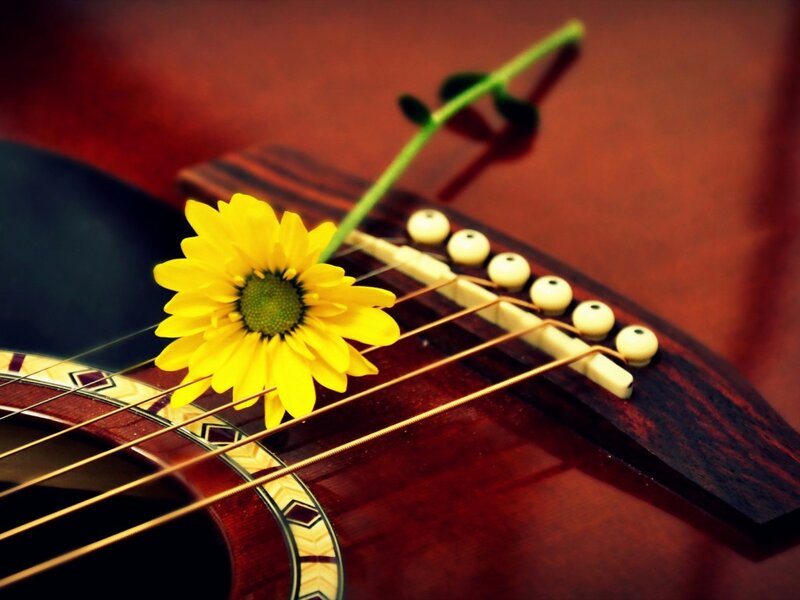 Sunflower on Guitar