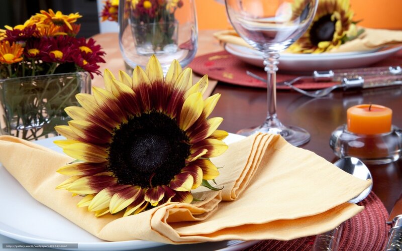 Sunflower on Napkin — Yellow, Warm