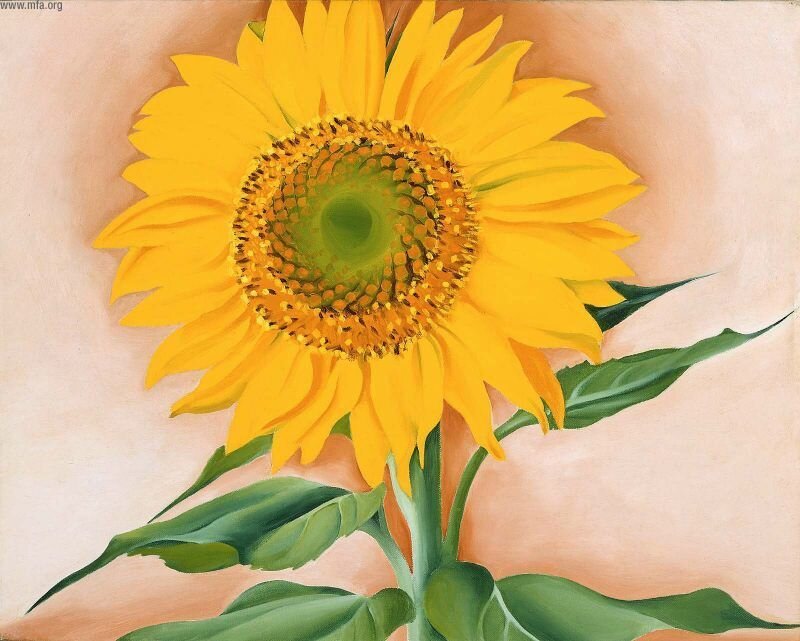 Sunflower Painting