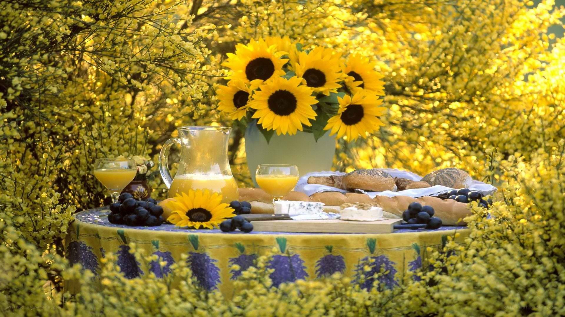 Sunflower picnic in garden