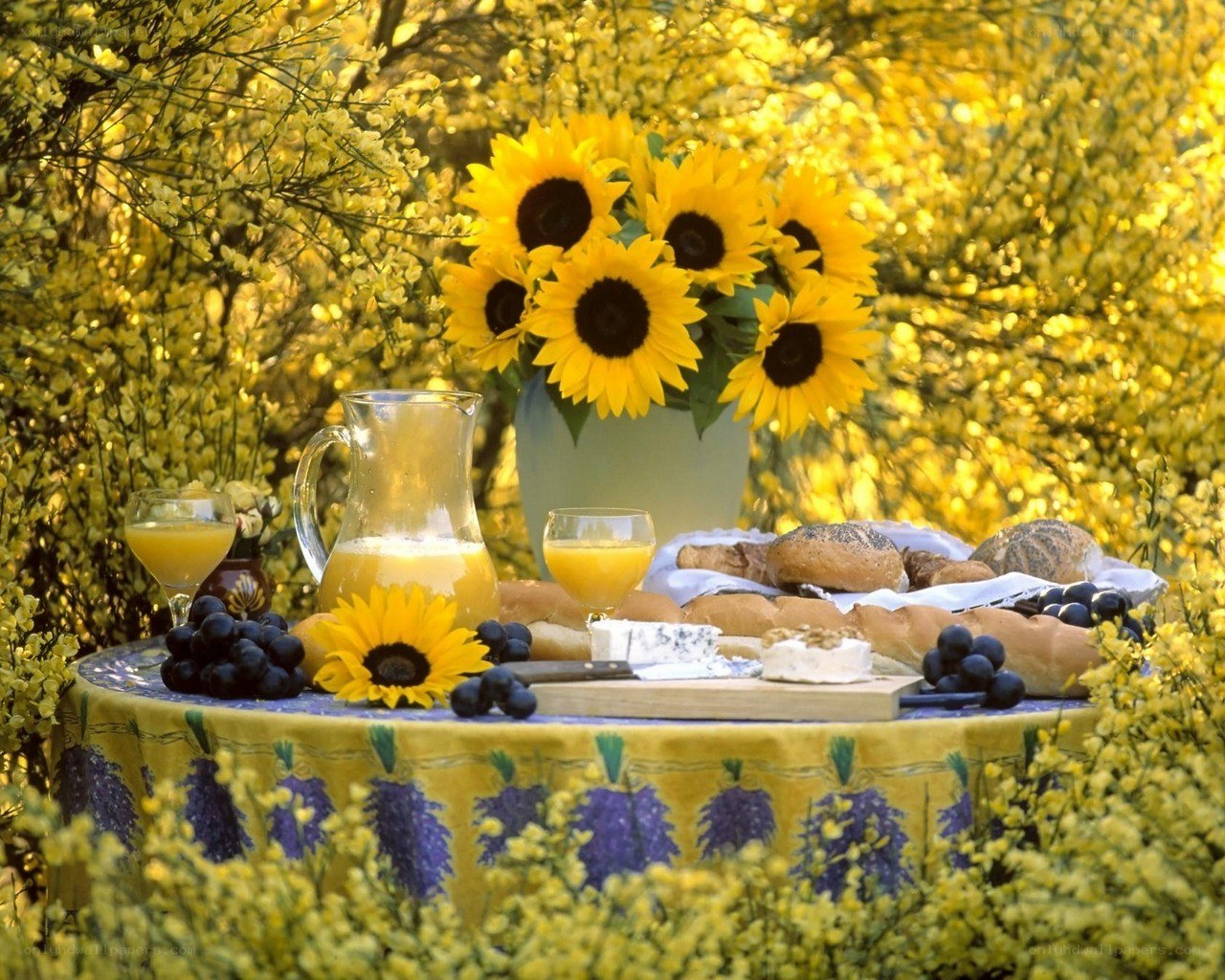 Sunflower picnic in garden