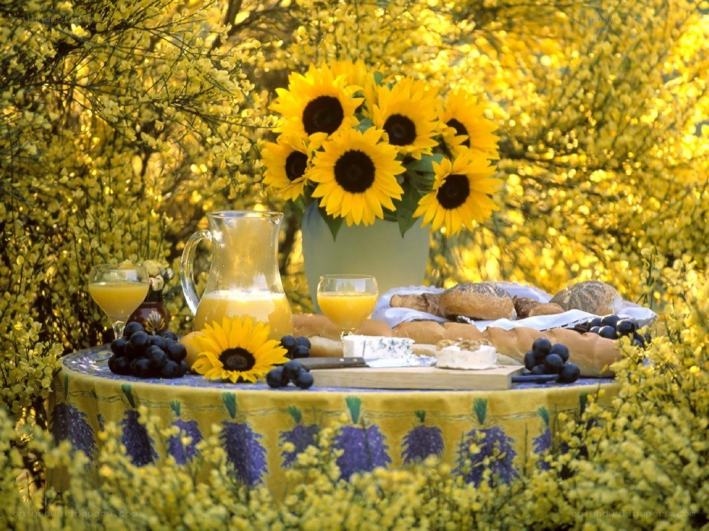 Sunflower picnic in garden