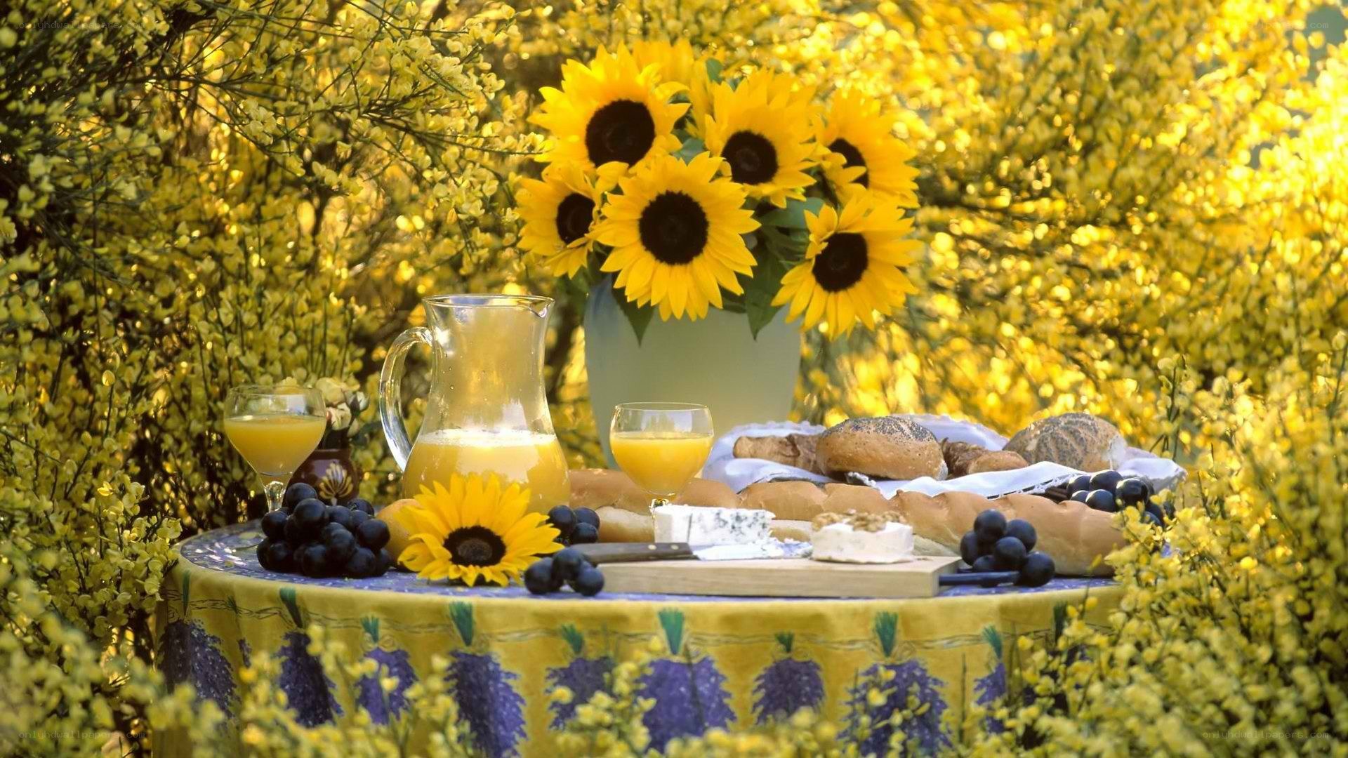Sunflower picnic in garden