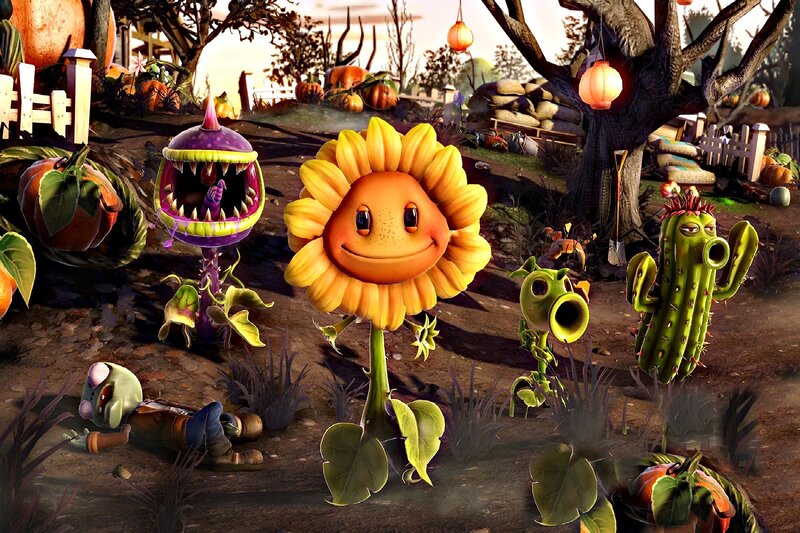 Sunflower Plant Character