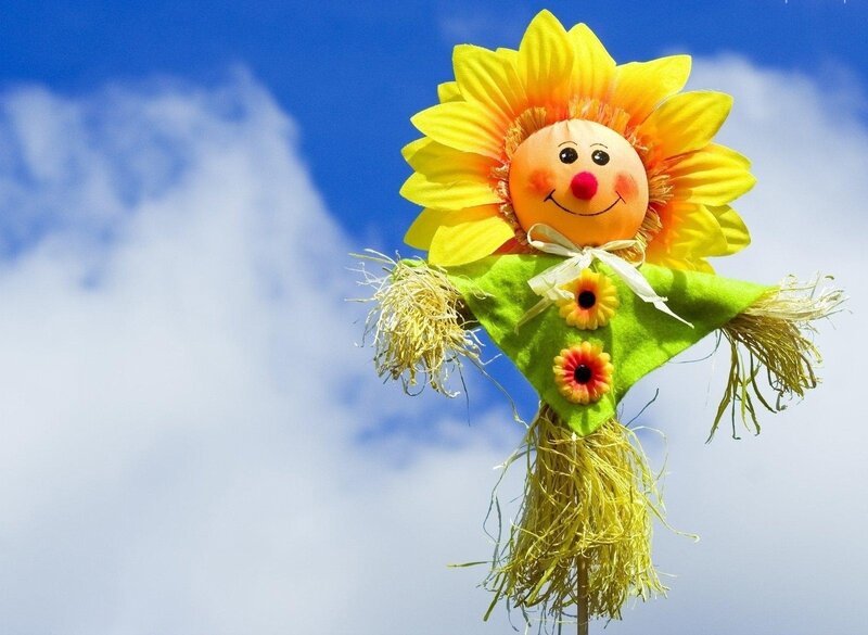 Sunflower Scarecrow — Blue