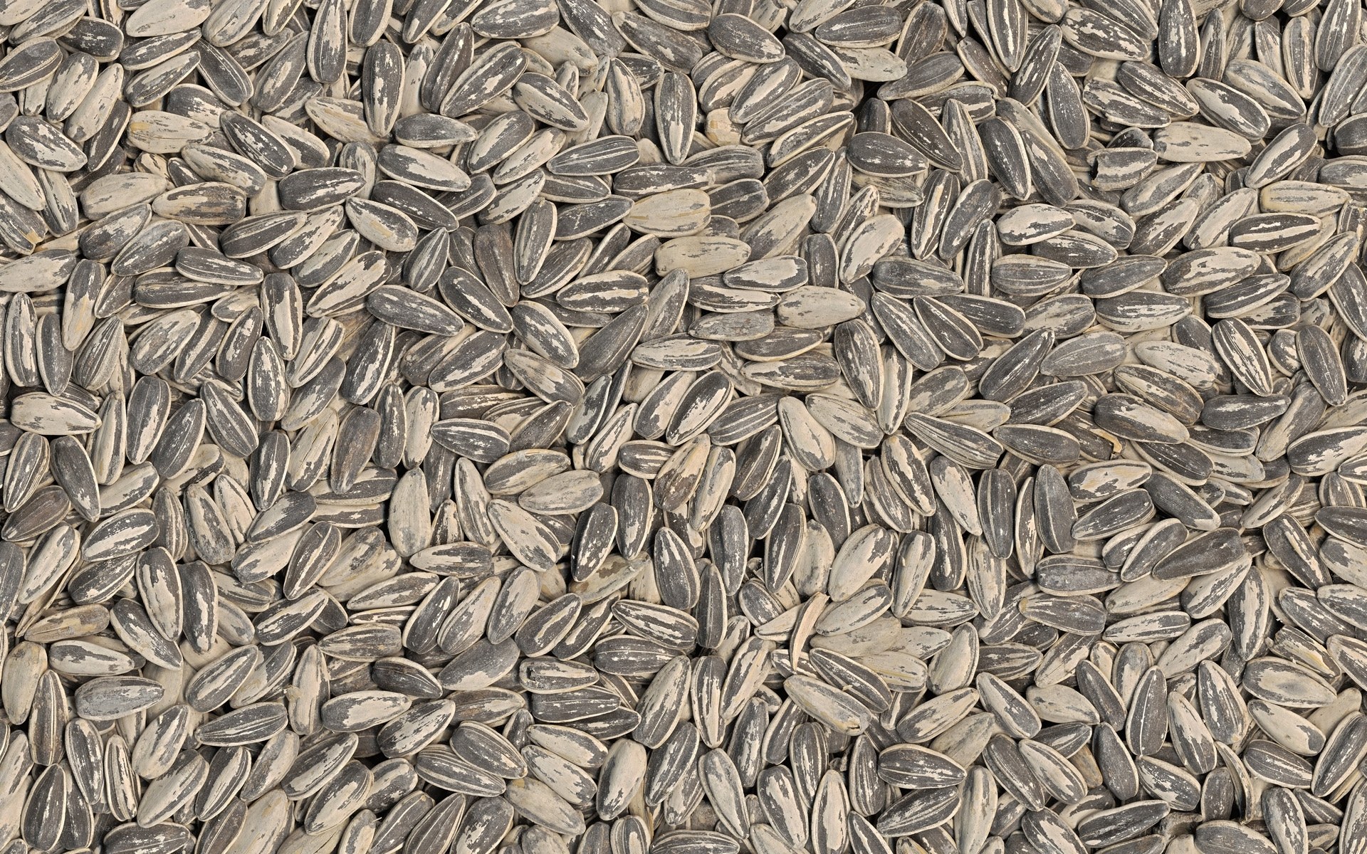sunflower seeds background