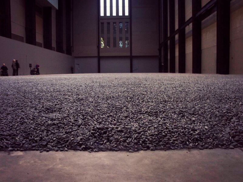 Sunflower seeds installation