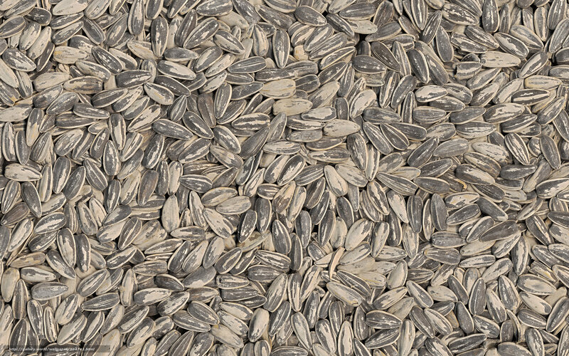 sunflower seeds texture