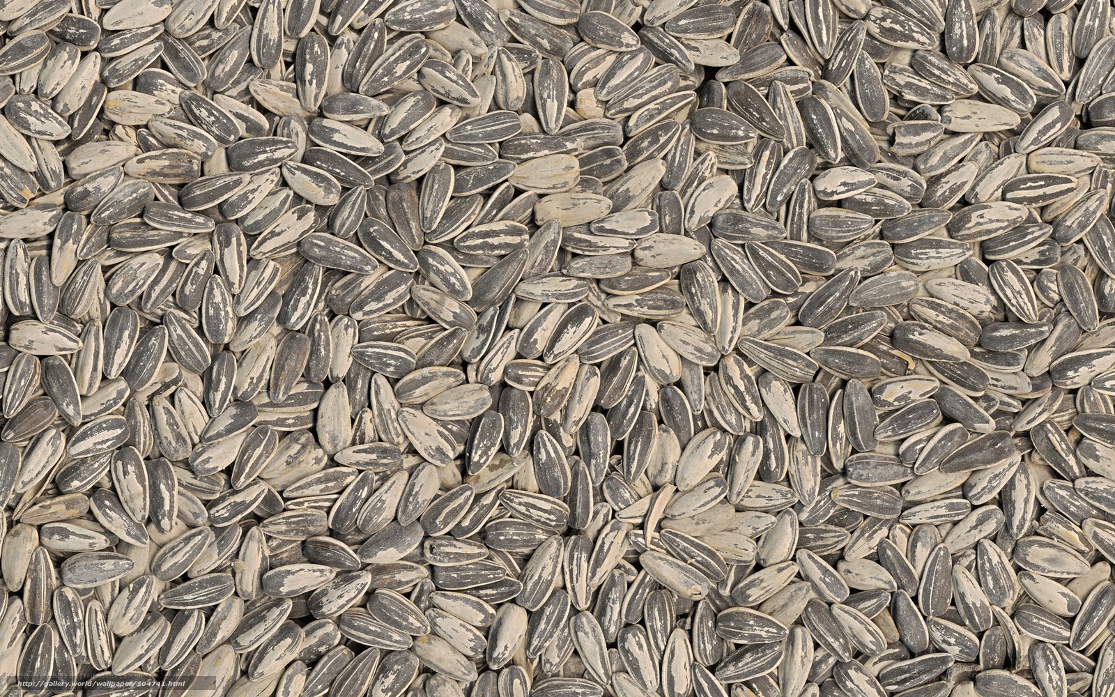 sunflower seeds texture