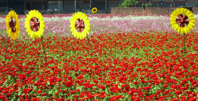 Sunflower-shaped Windmills