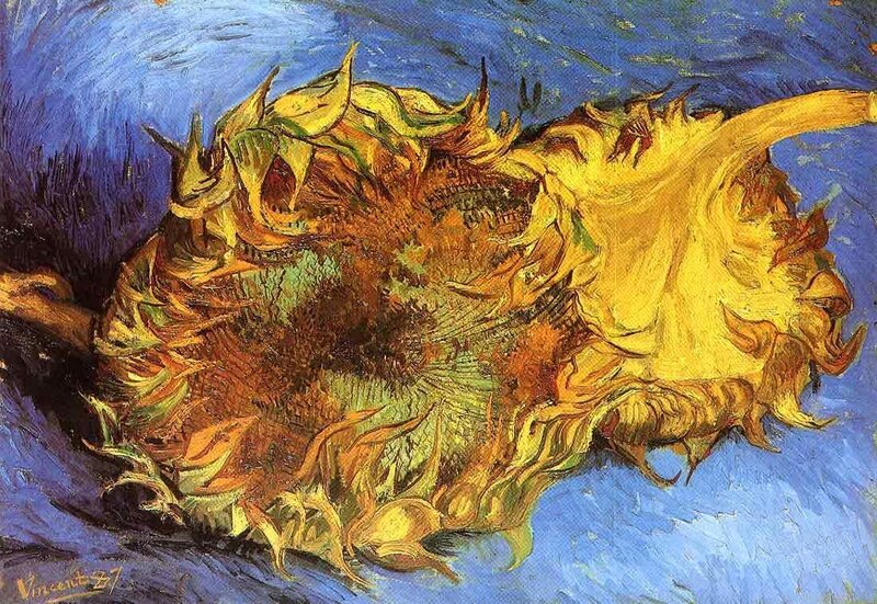 Sunflower Still Life