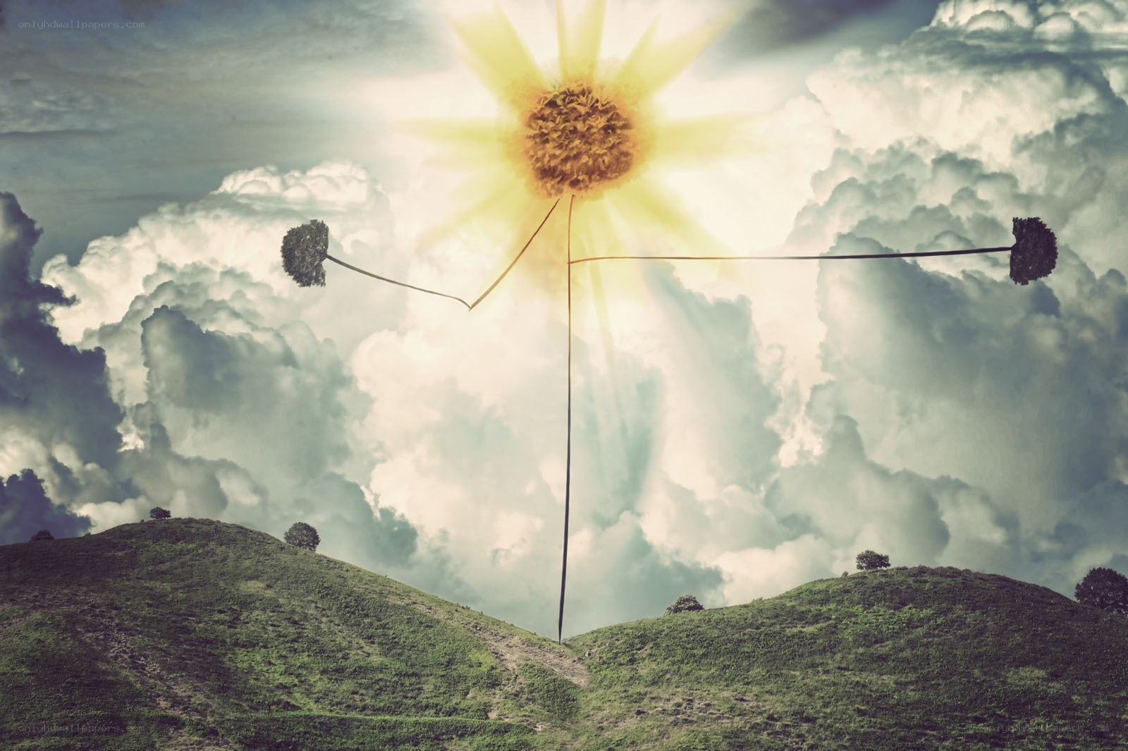 Sunflower sun in cloudy sky