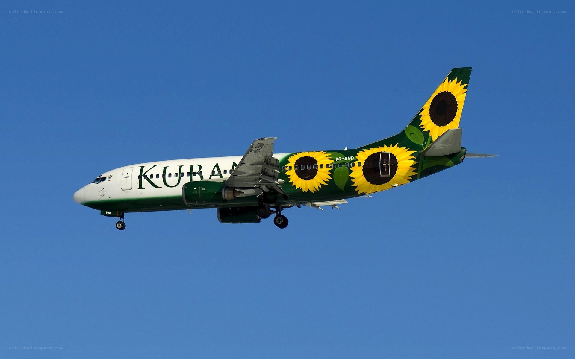 Sunflower-themed airplane in flight