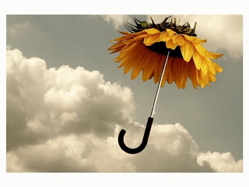 Sunflower Umbrella — Yellow