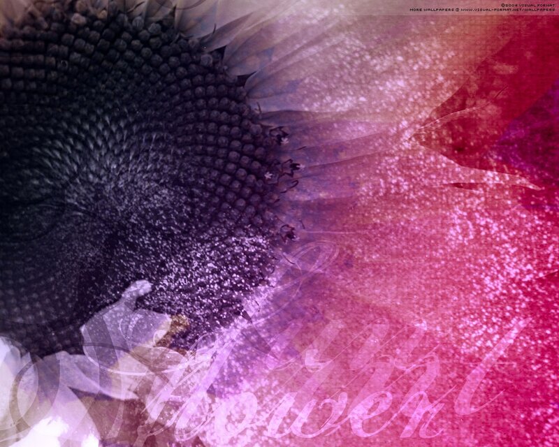 Sunflower with artistic overlay