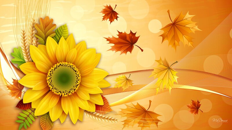 Sunflower with Autumn Leaves
