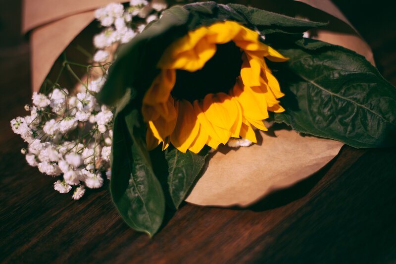 Sunflower with baby's breath