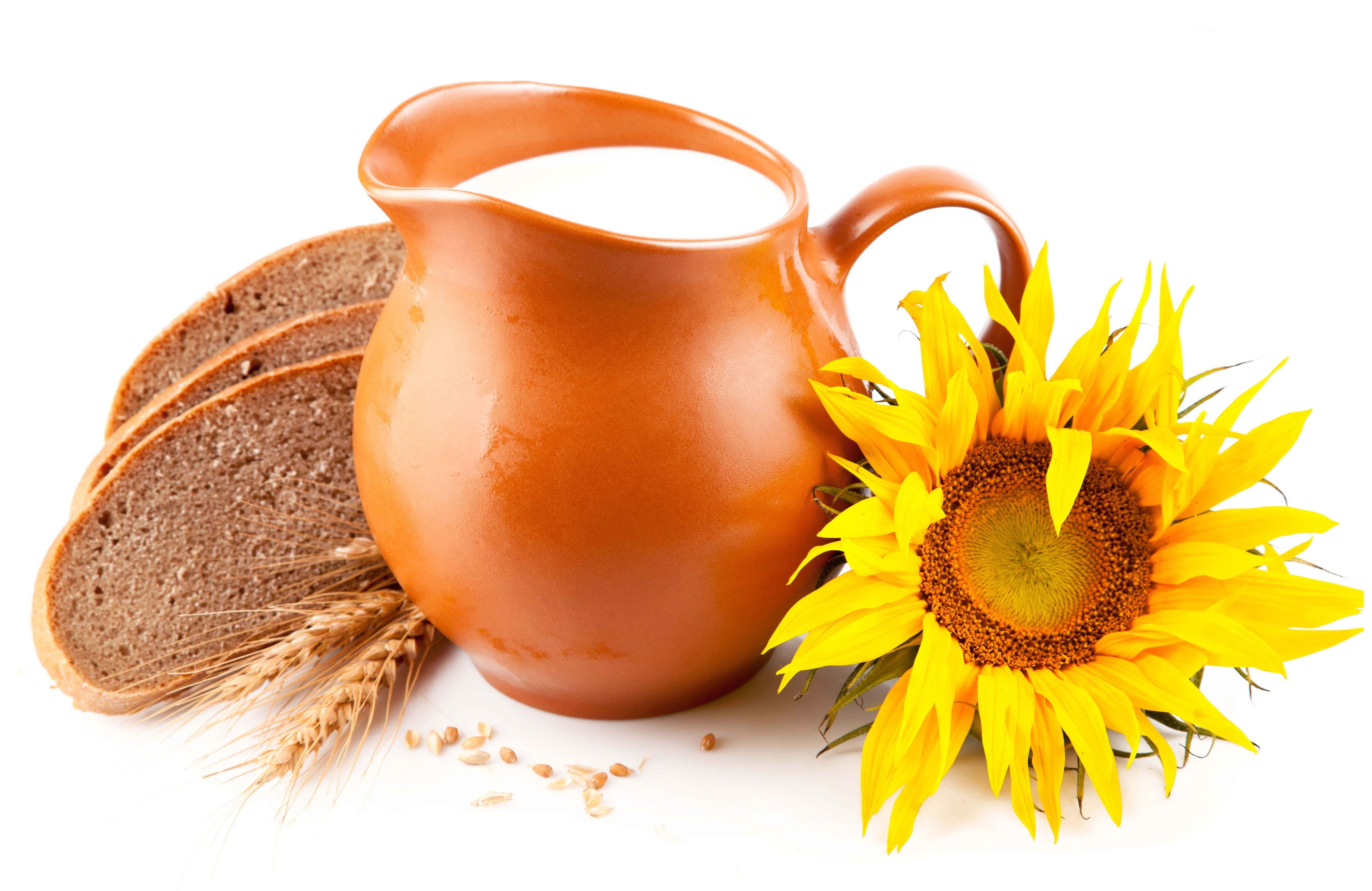 Sunflower with bread and milk