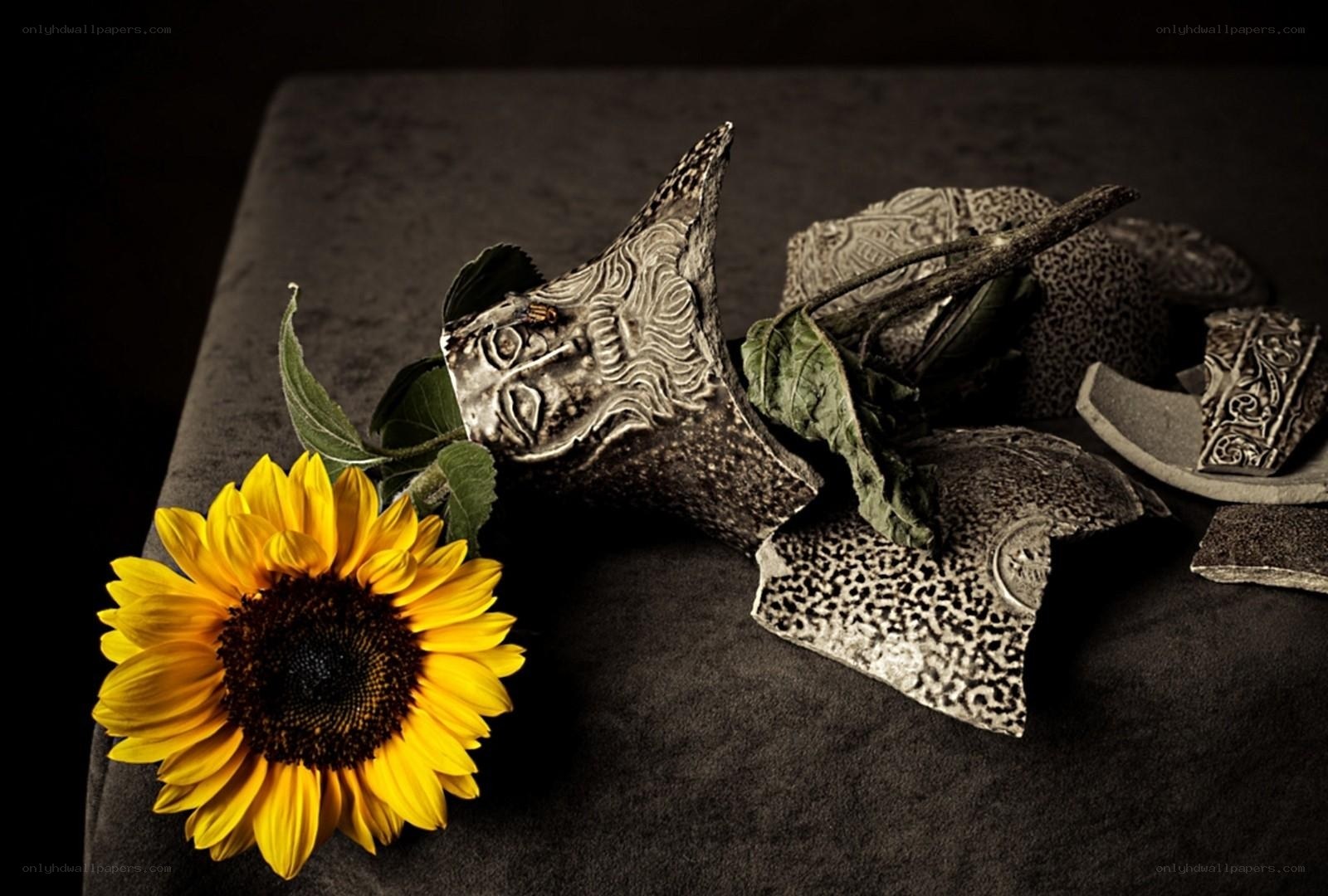 Sunflower with broken sculpture