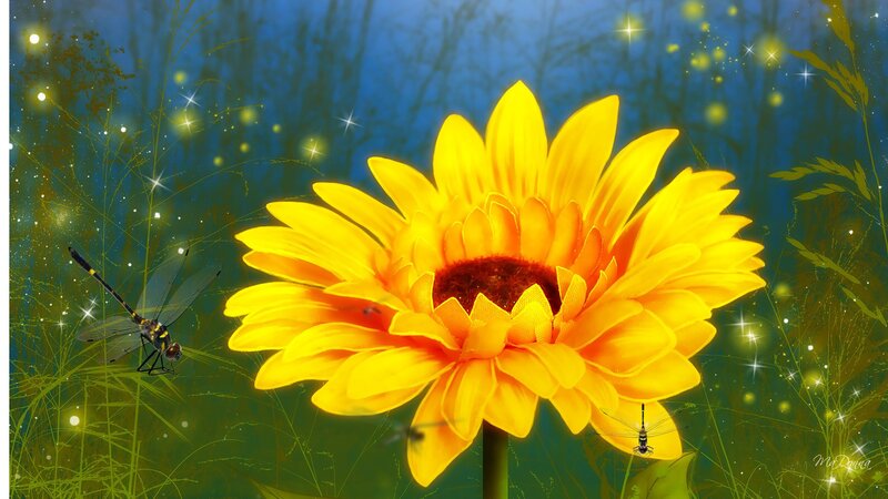 Sunflower with Dragonflies — Yellow