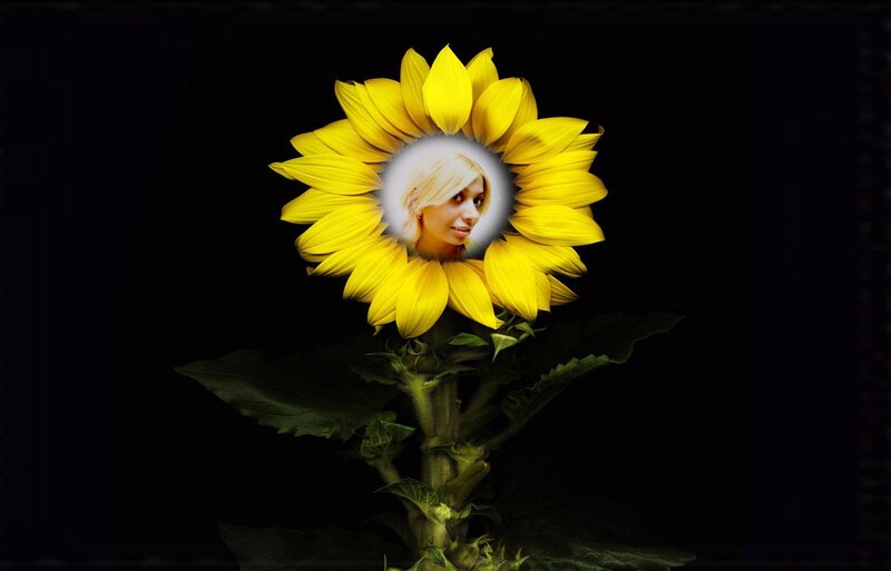 Sunflower with Face