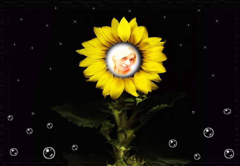 Sunflower with Face — Yellow, Dreamy