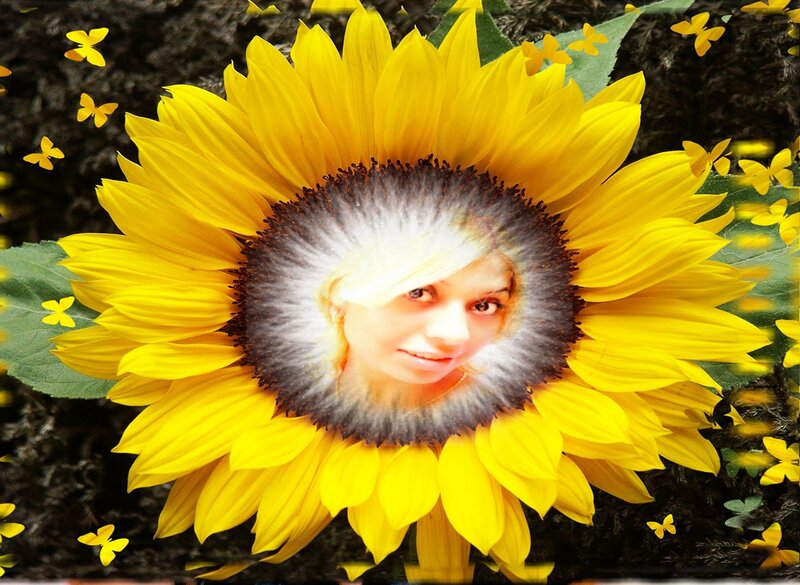 Sunflower with Face — Yellow