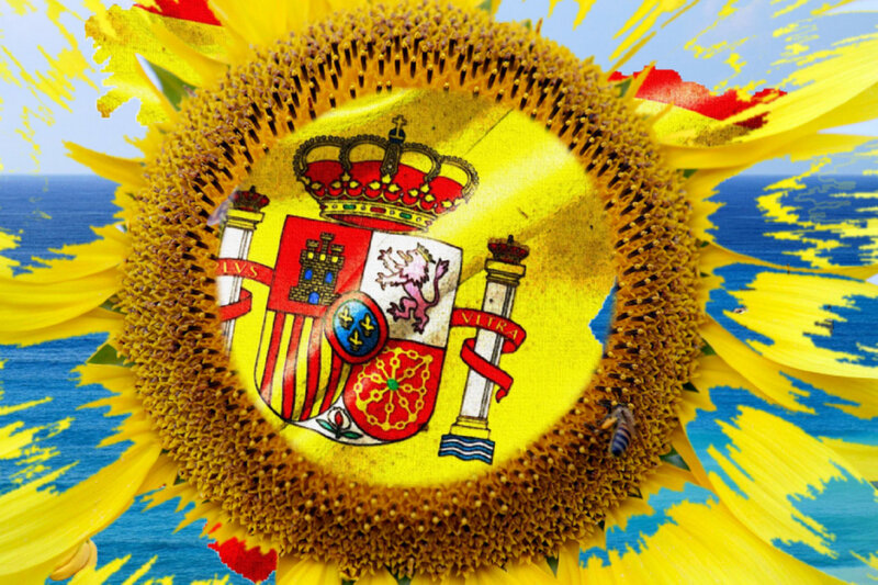 Sunflower with Flag