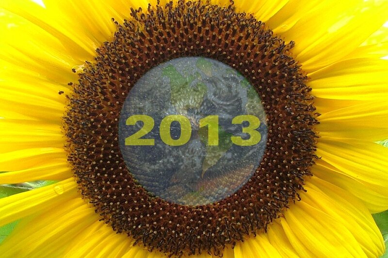 Sunflower with Globe