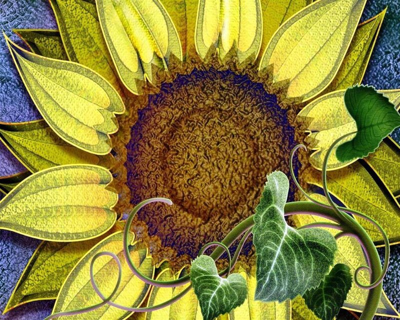 Sunflower with Green Leaves