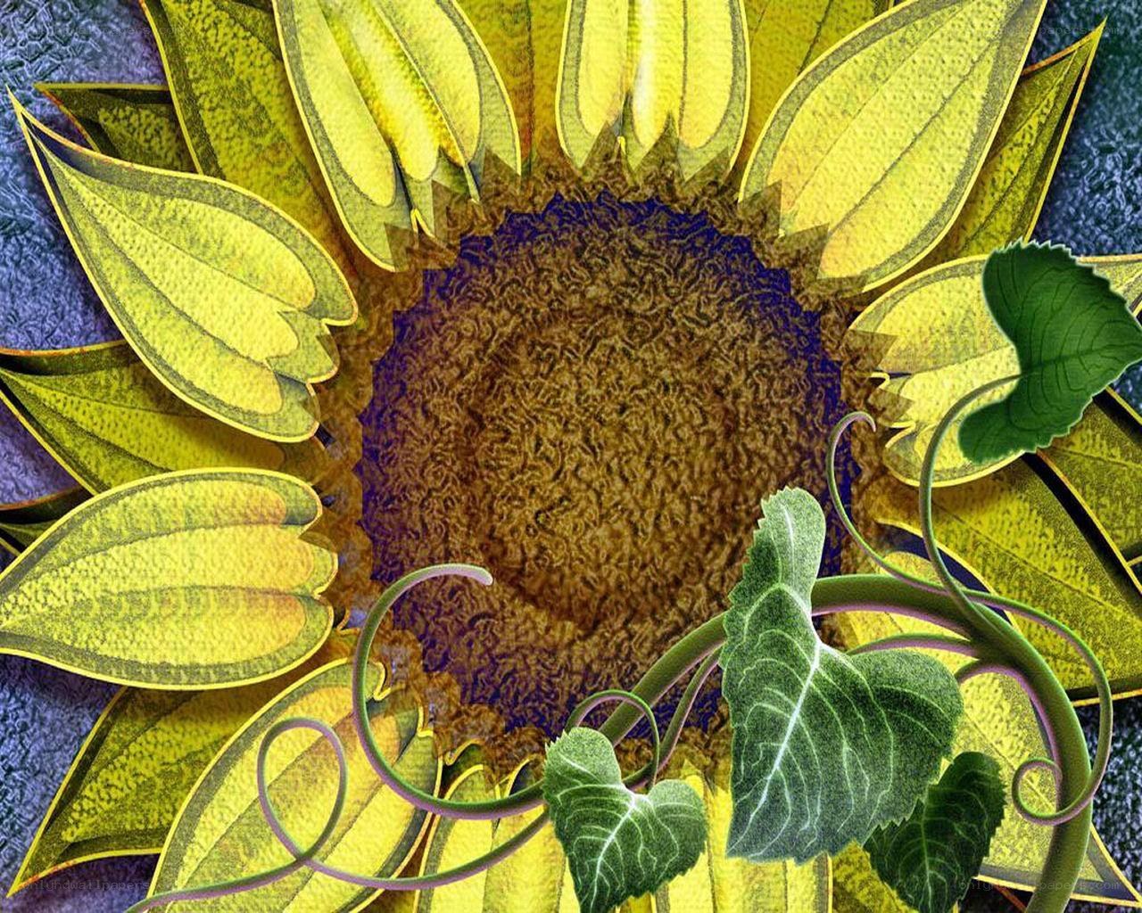 Sunflower with green vines
