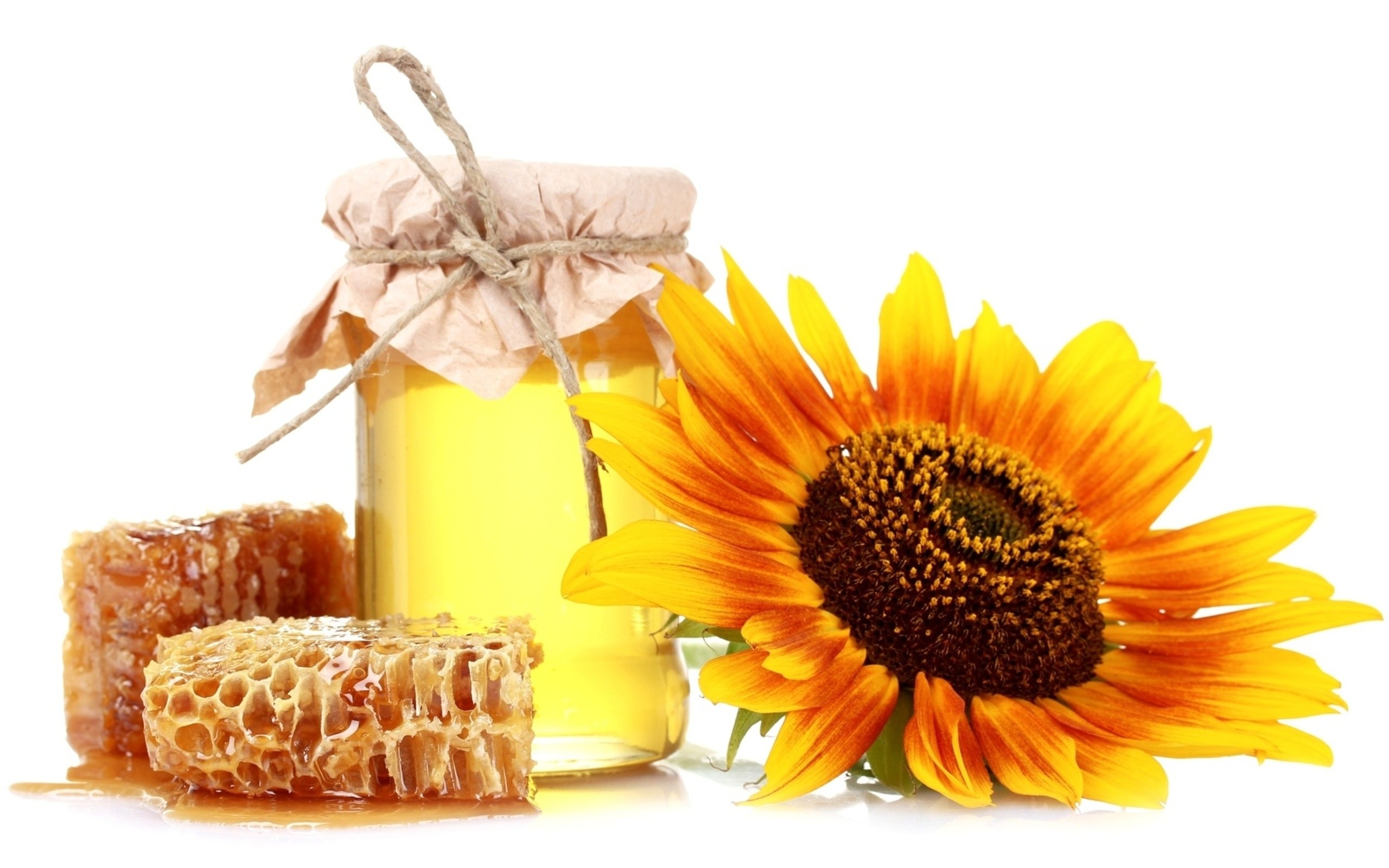 Sunflower with honey and honeycomb