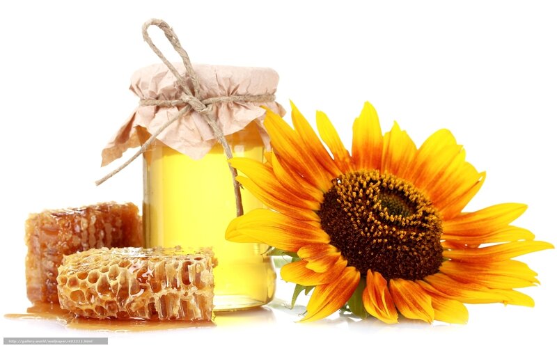 Sunflower with Honey Jar