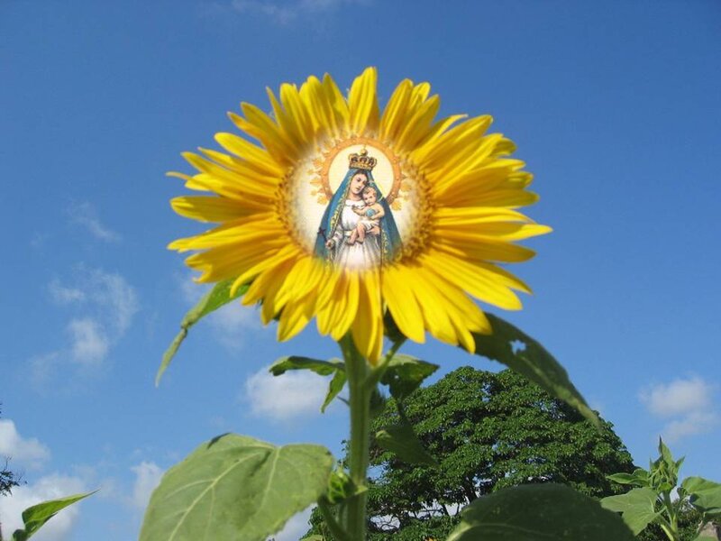 Sunflower with religious image