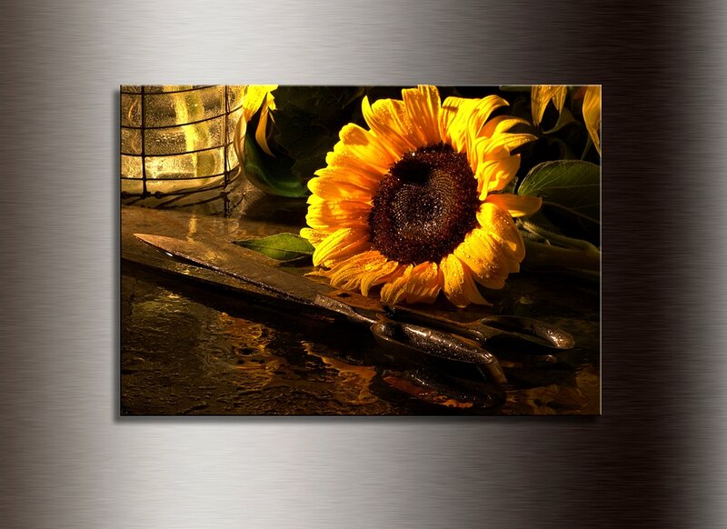 Sunflower with scissors