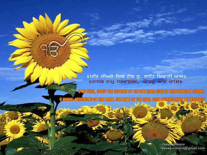 Sunflower with Sikh prayer