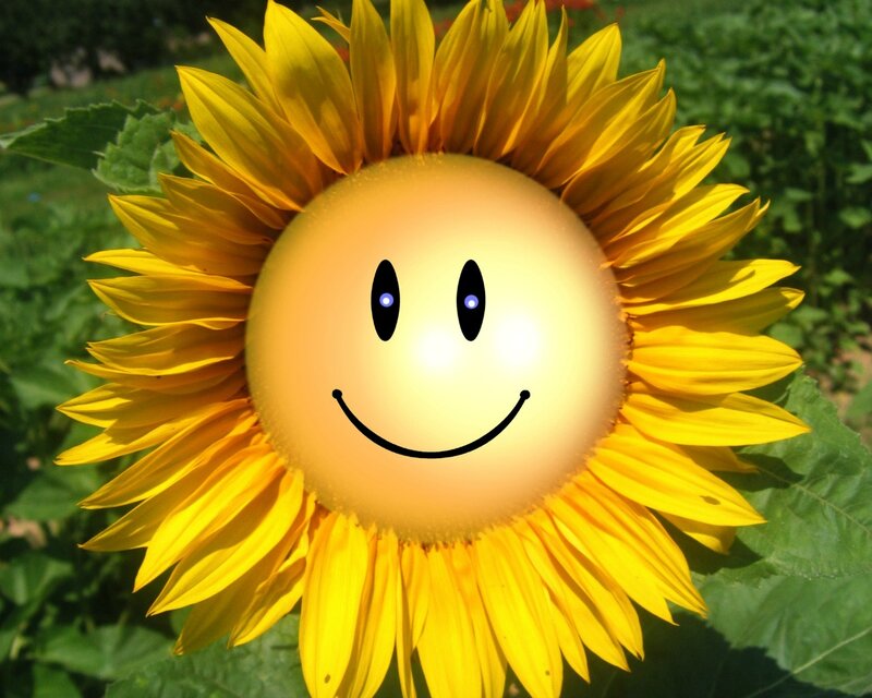 Sunflower with Smiley Face — Yellow, Cheerful