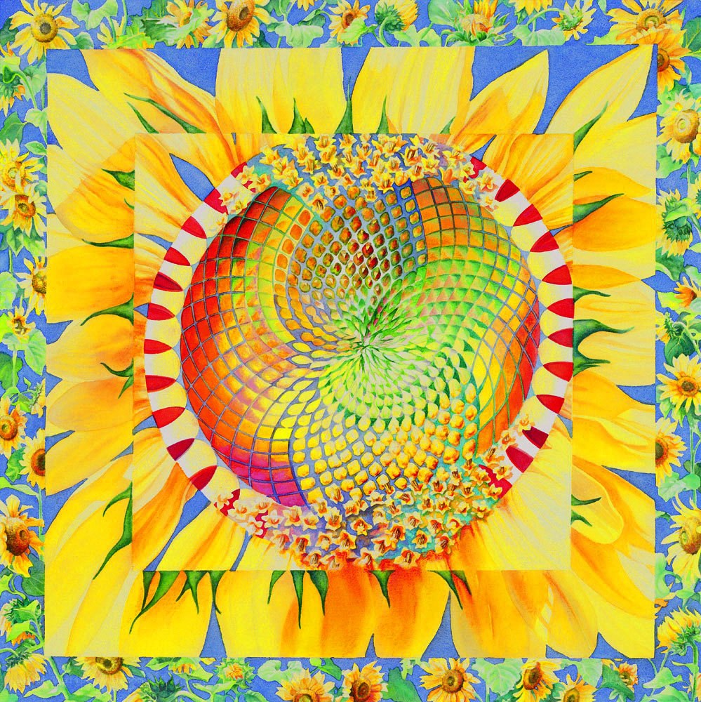 Sunflower with Spiral Center