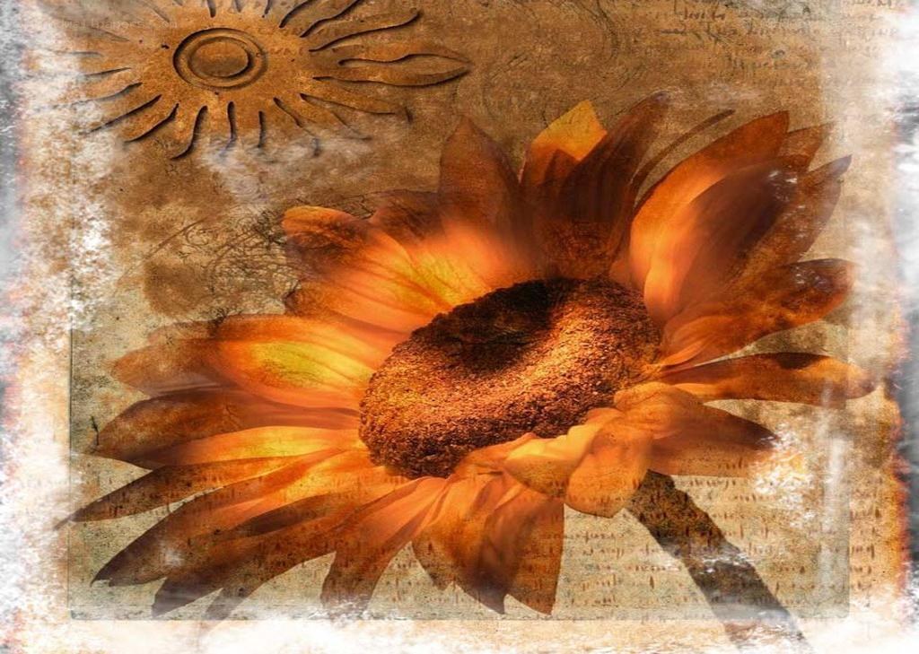 Sunflower with sun motif