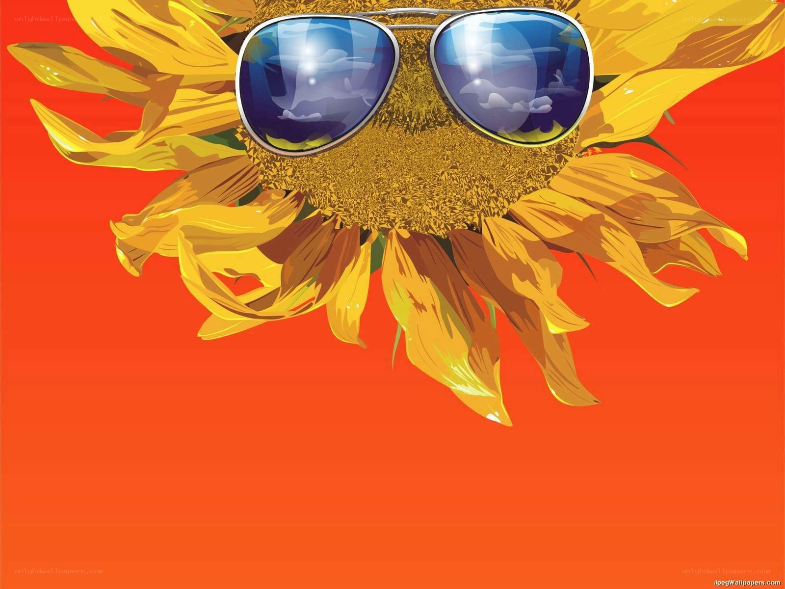 sunflower with sunglasses