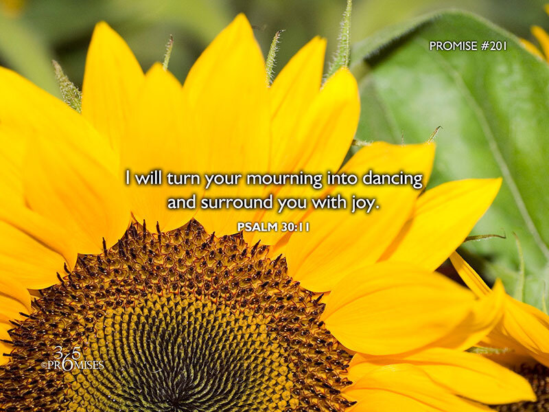 Sunflower with Text