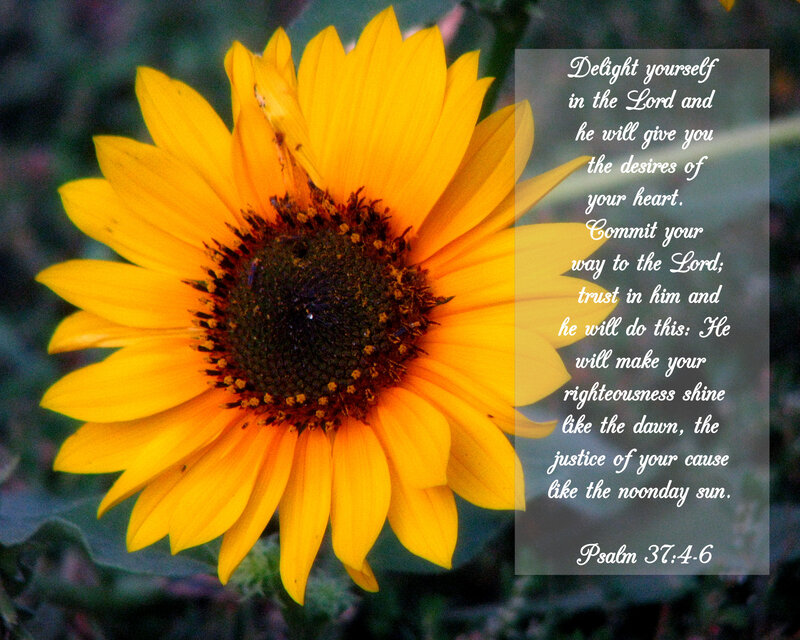 Sunflower with Text — Yellow