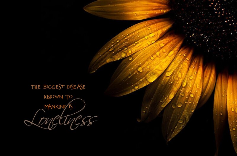Sunflower with Water Droplets — Black
